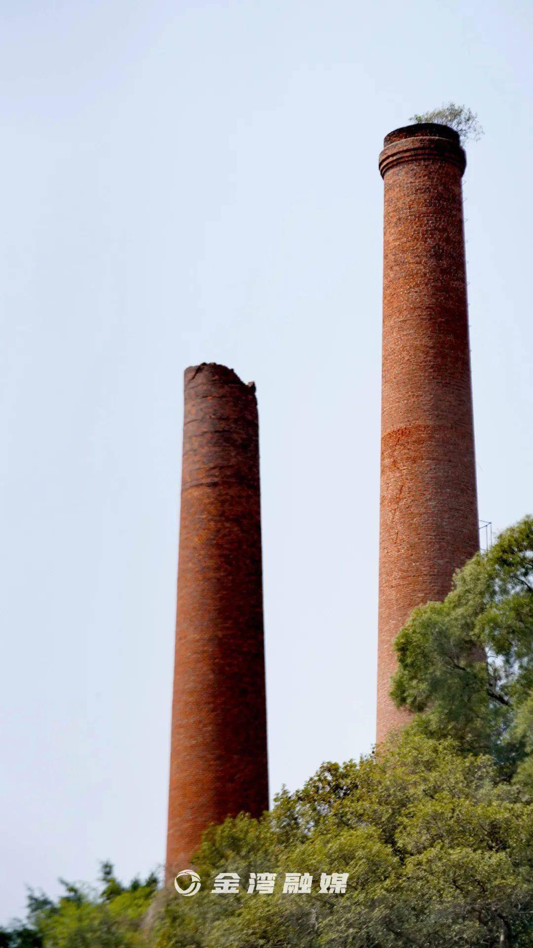 "沉睡"20年的红旗糖厂即将甜蜜"苏醒"!