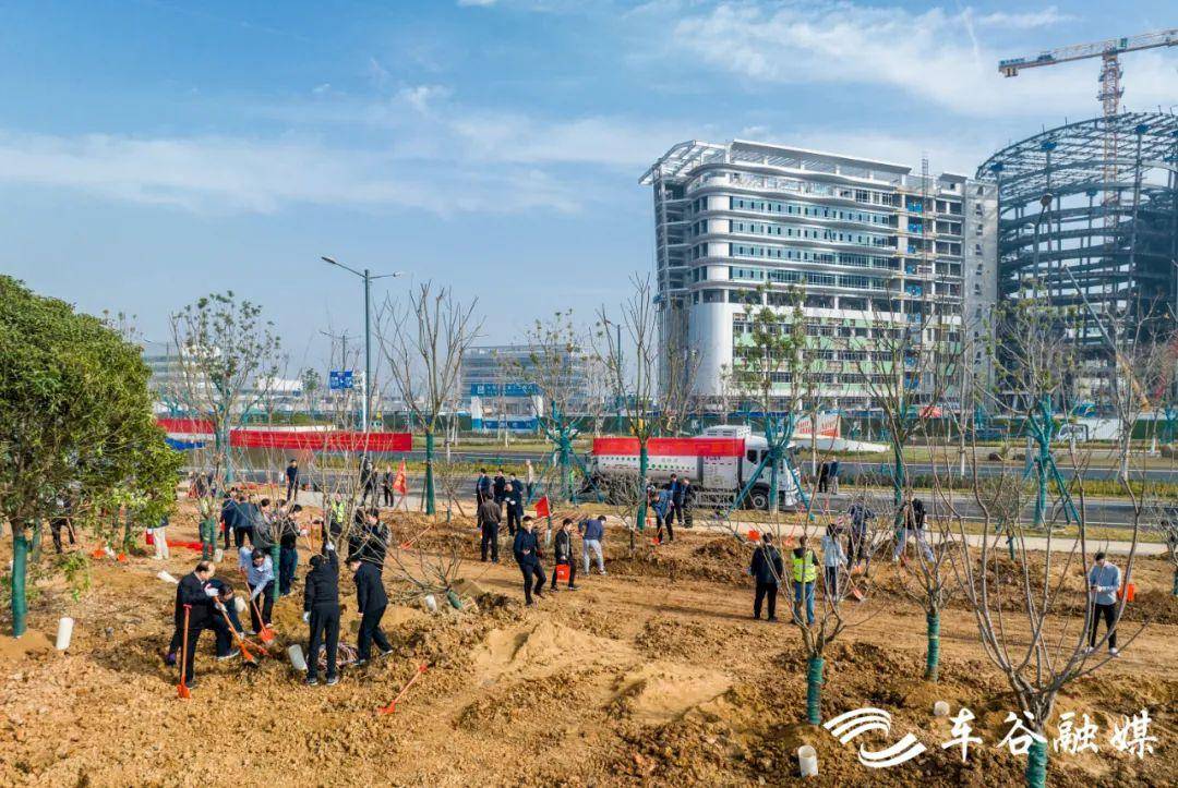 武汉经开区：春天里，我们种下绿色种下希望_建设_车谷_公园
