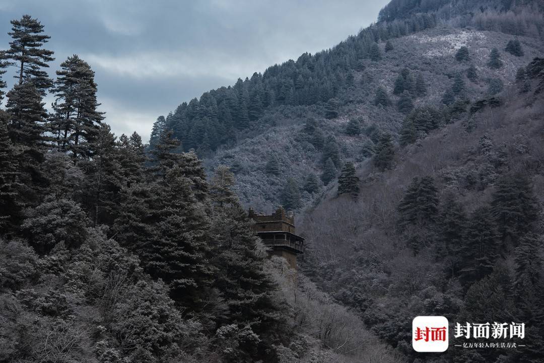 夹金山:漫天春雪润无声 