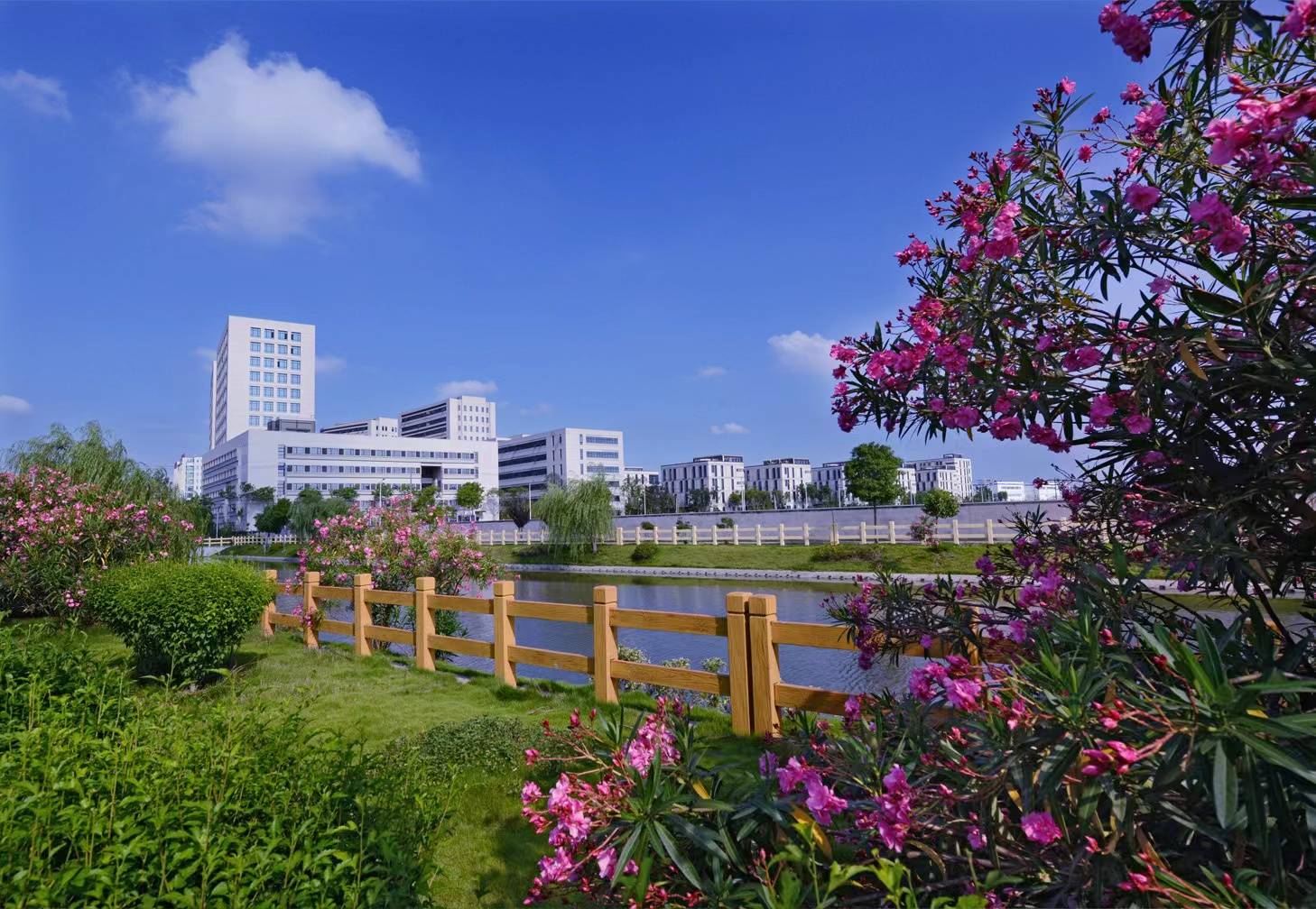 在高质量发展道路上加速奔跑,浦东周浦全力成为引领区建设生动一景_服务_工作_产业