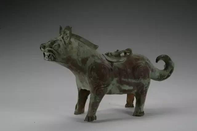 虎形铜尊形象:猪猪是我国古代先民最重要的家畜和肉食来源,是祭祀所用