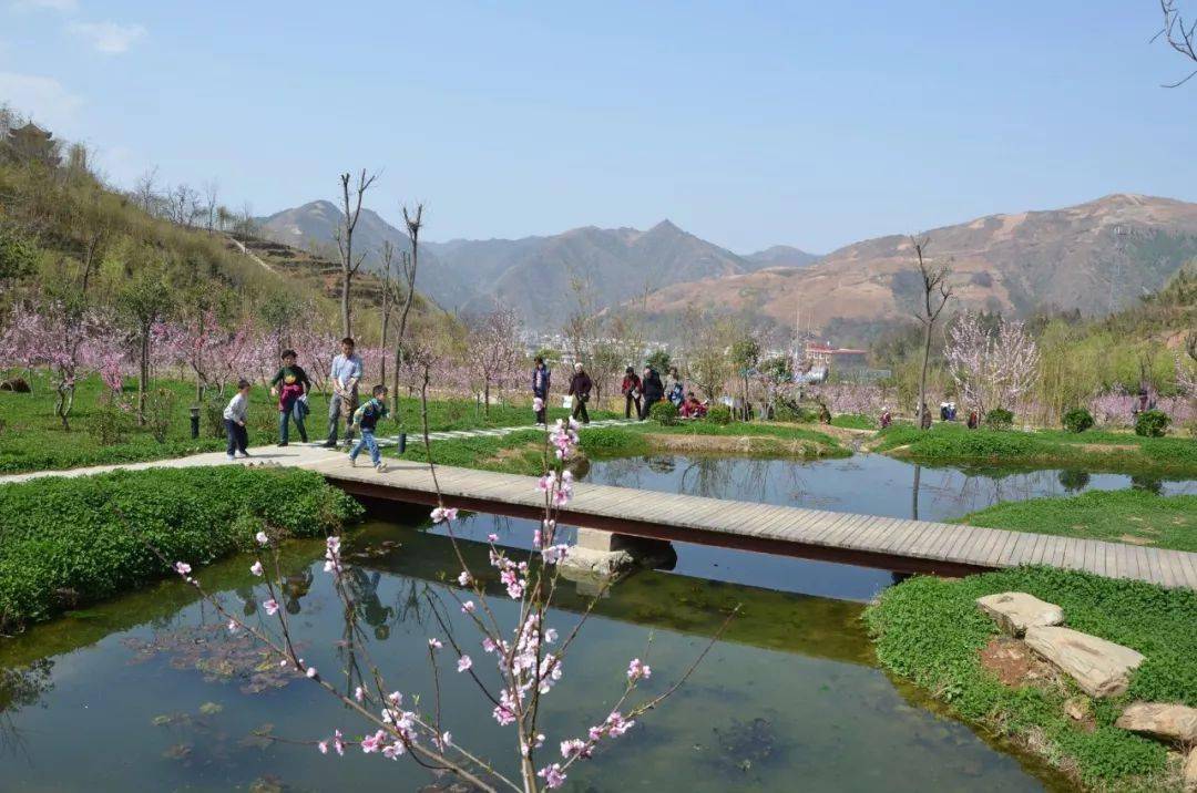 花开商洛 | 到桃花谷,带您"桃醉"整个春天