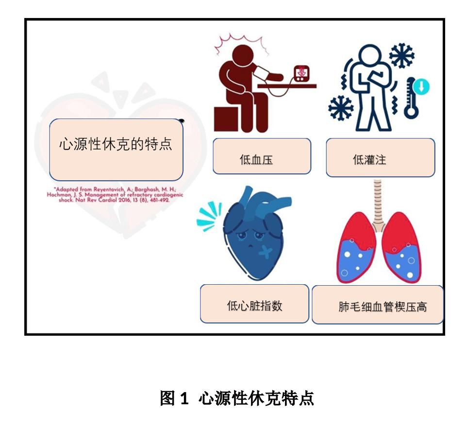 重症视角 | 心源性休克:急诊室管理要点_患者_mmhg_心脏