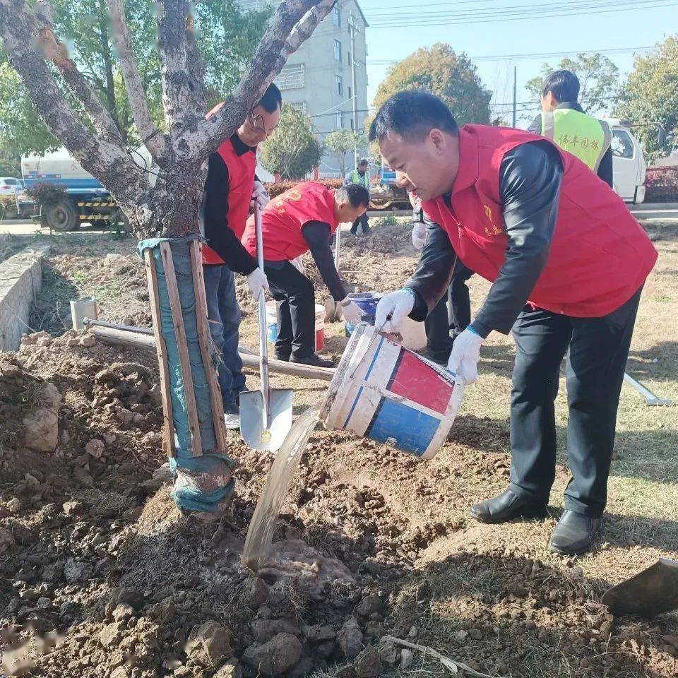 湖北省监利县朱河镇图片