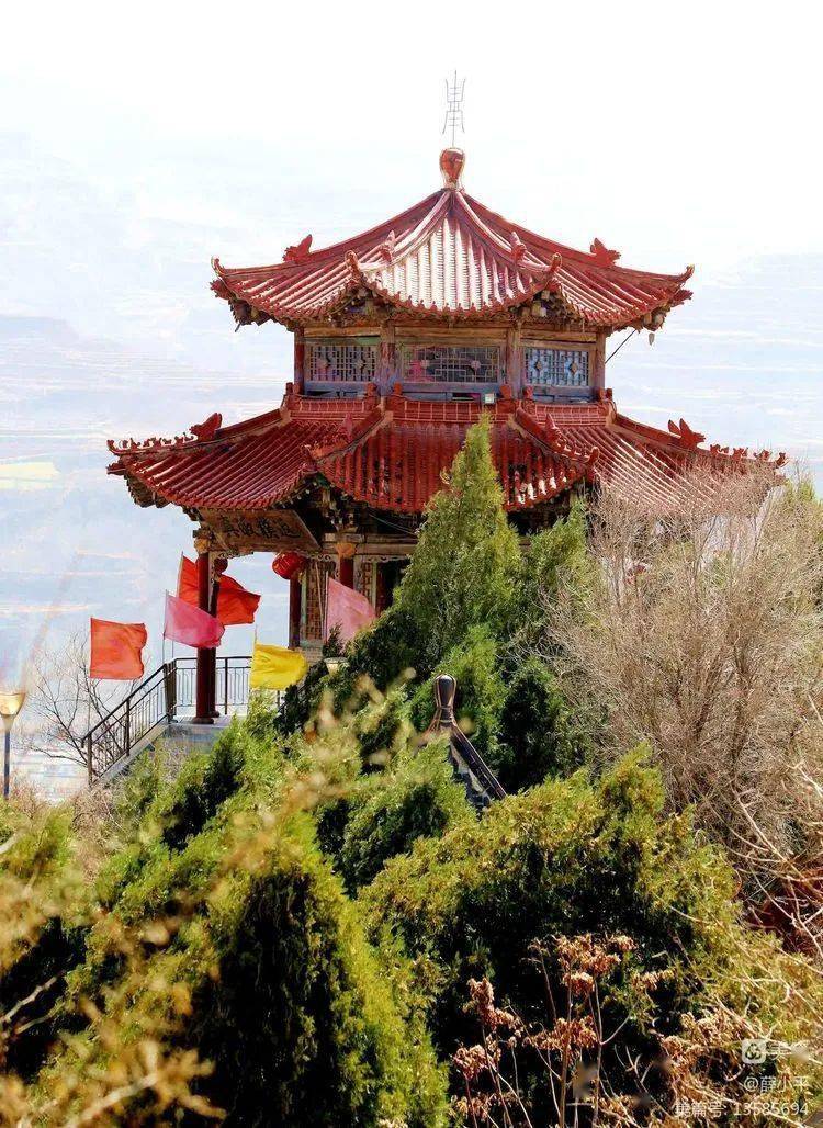 朵朵桃花静悄悄地在礼县"八景之一"的赤土山竞相绽放,粉黛簇簇,花香