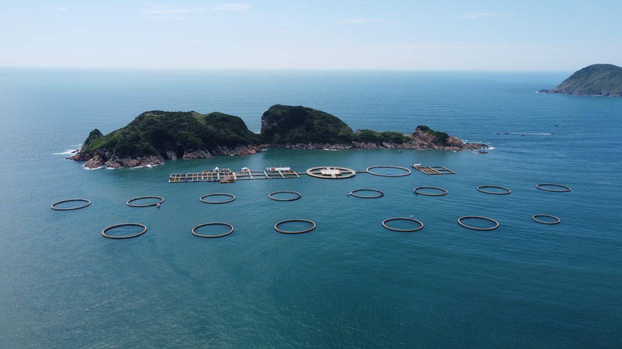 广东将打造现代化海洋牧场种业"南繁硅谷"_养殖_建设_网箱