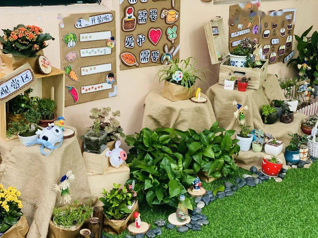 幼儿园春季植物角环境布置,春日美景尽收眼底_赛几_一大_软绵绵