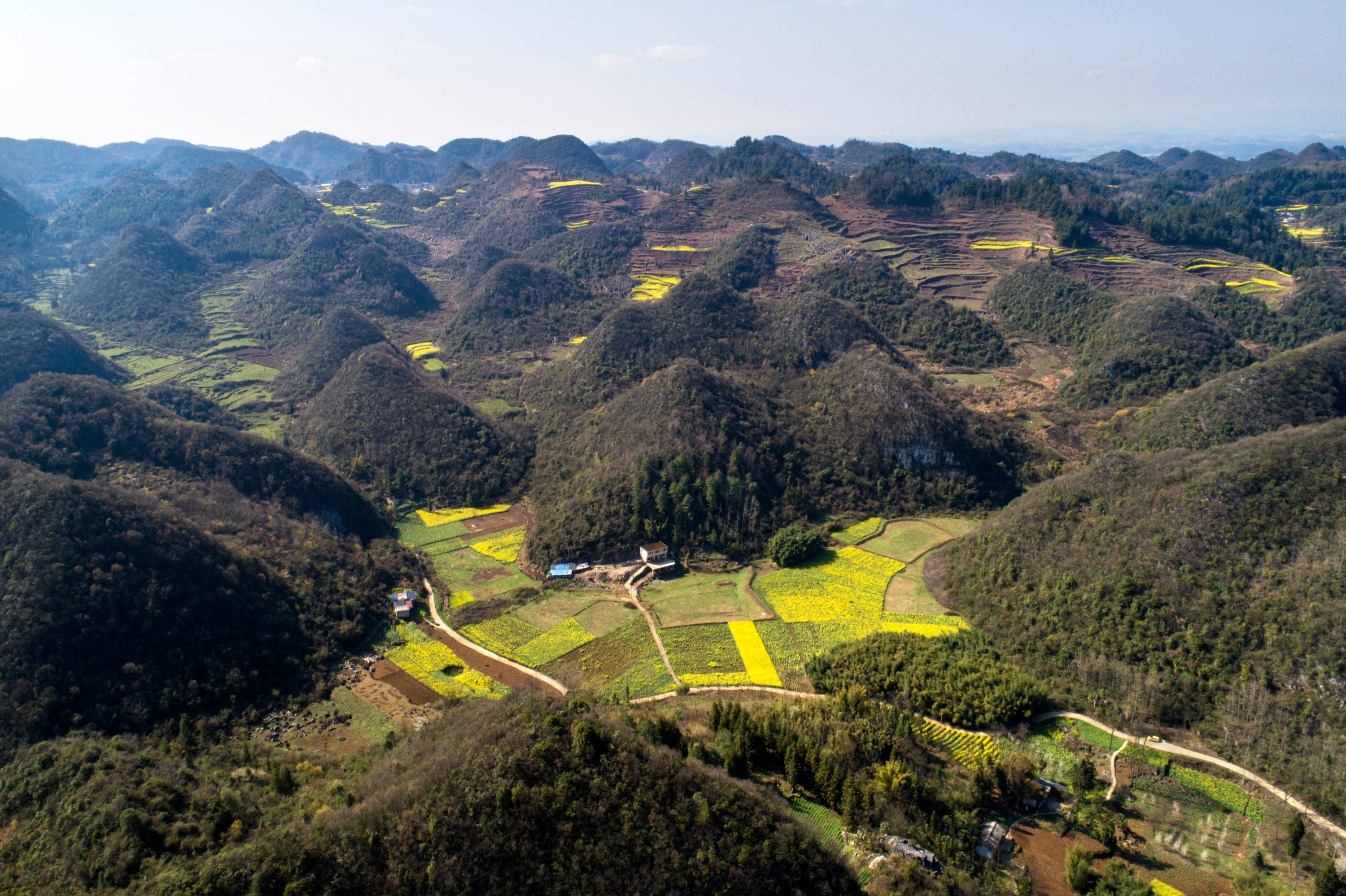 贵州黔西:"甜蜜"产业 助农增收_金兰镇_宝石村_村民