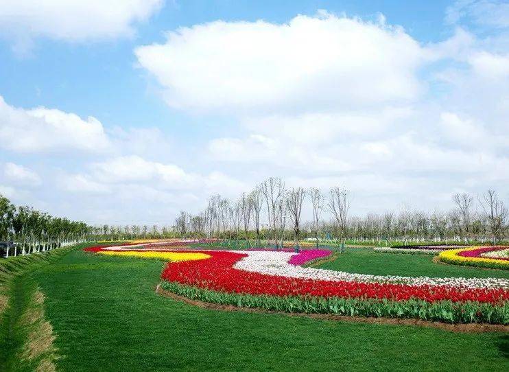 杏花公园—逍遥津—大东门—三里街南—和平广场—半岛花溪乐园—罗家