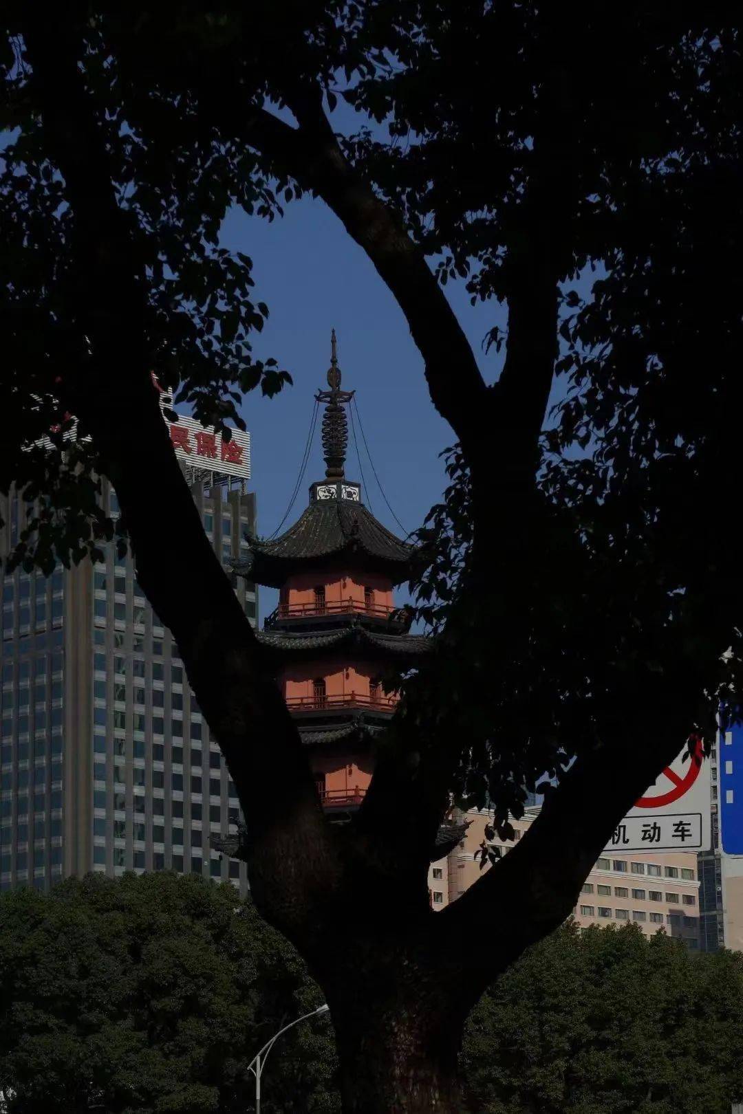 天封塔正对塔影巷静穆肃立多年前它曾是这个城市的制高点