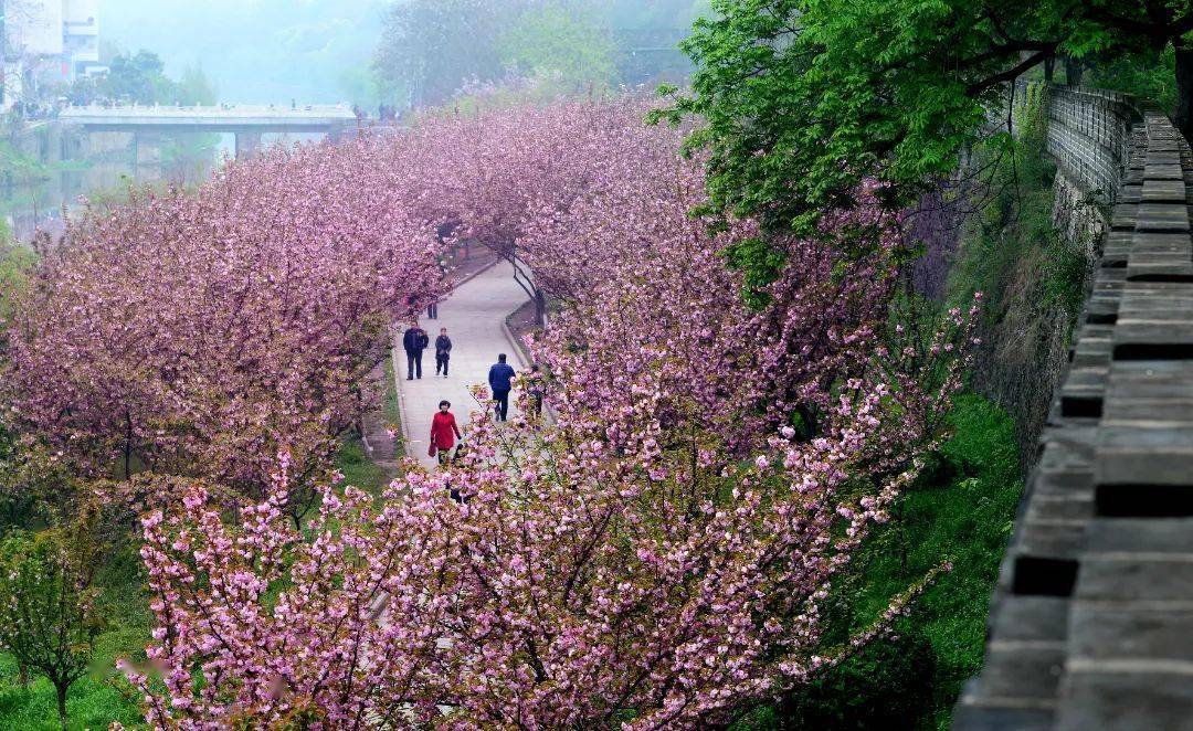 01(荆州方特东方神画推介人 李习文)(洪湖悦兮·半岛旅游区推介人