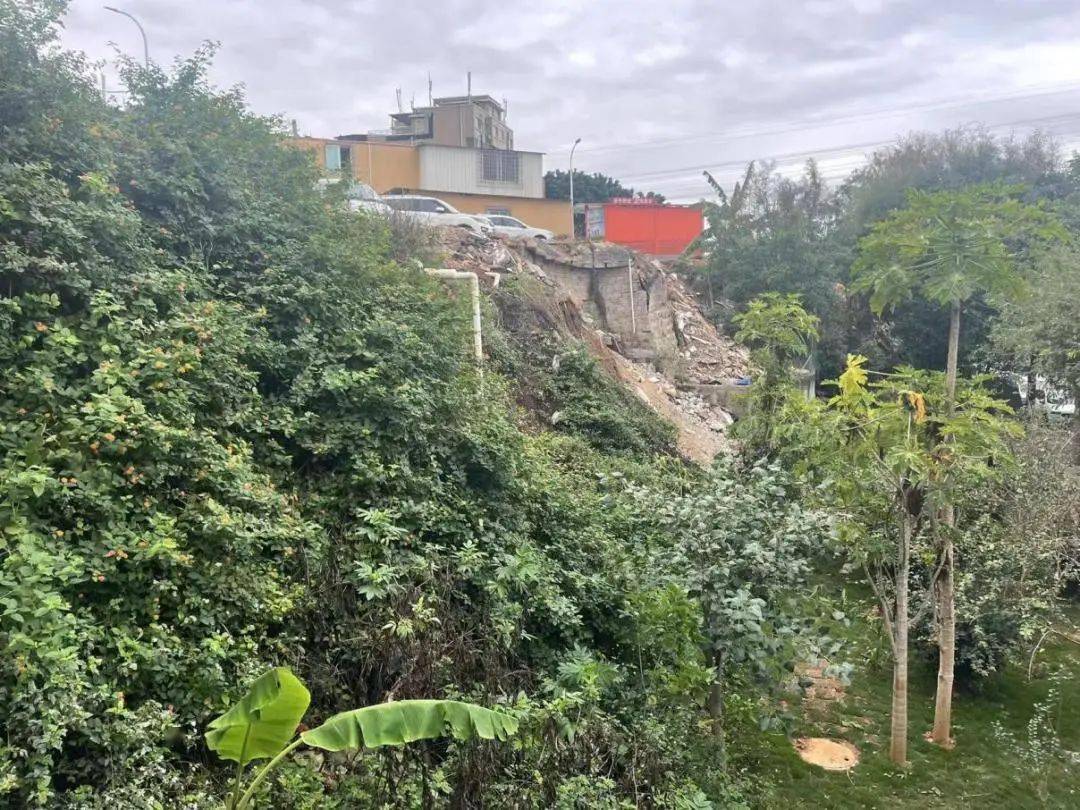 创建全国文明典范城市丨厦门海沧:"全国文明村"渐美村又添新地标