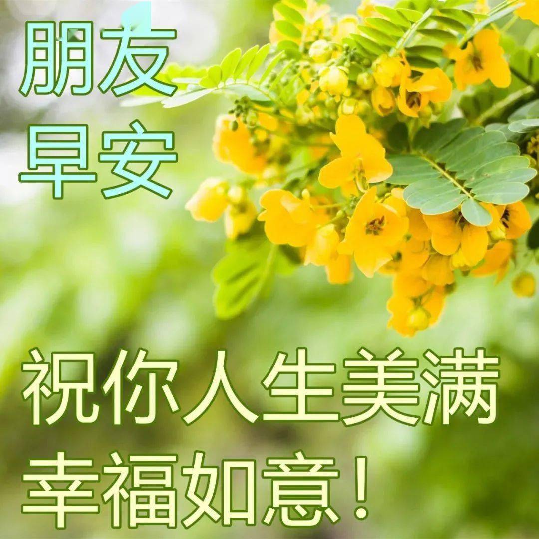 2023最新早上好問候語圖片表情大全,早上好問候祝福圖片精選_生活