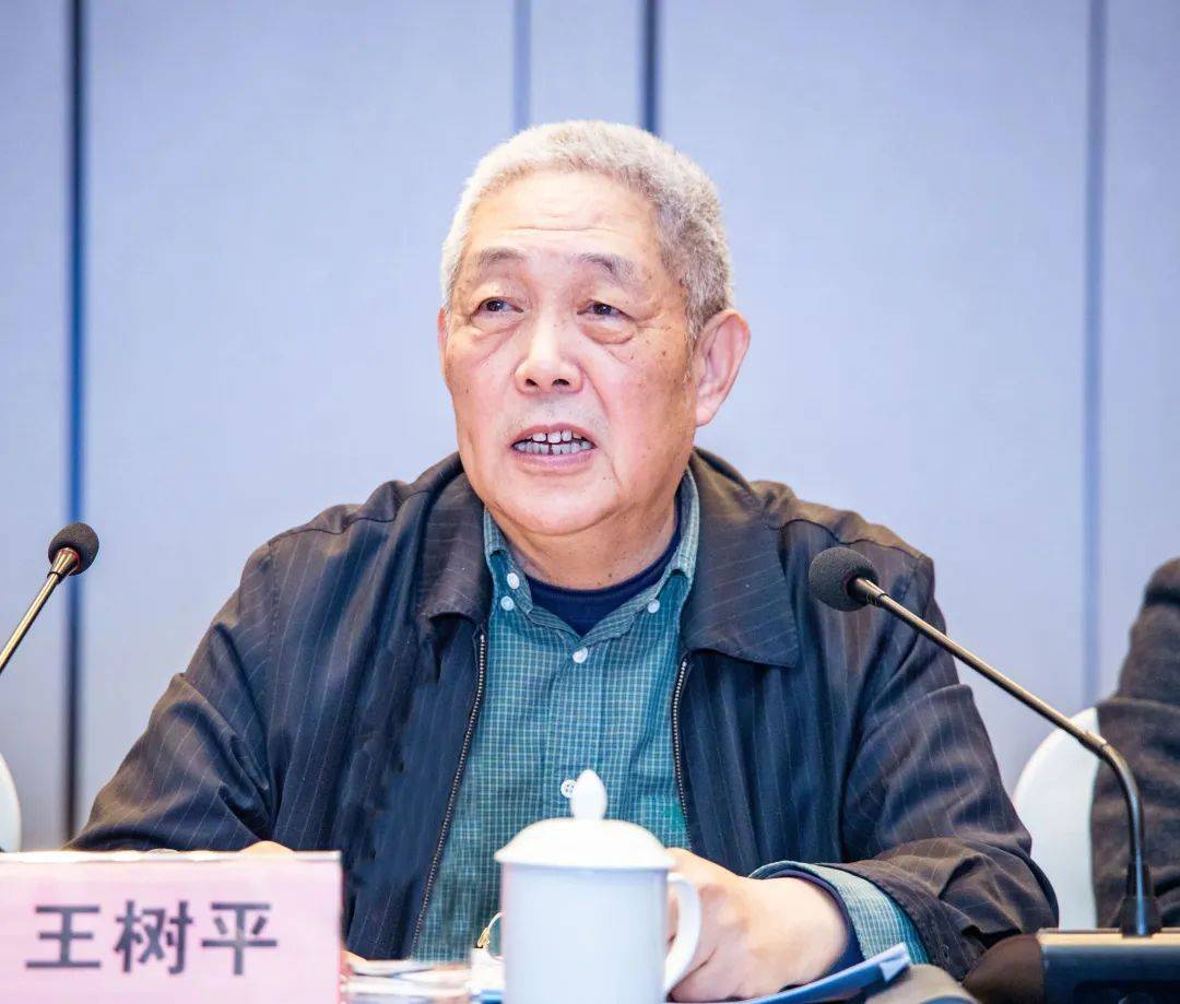 王树平在八届三次常务理事会上的讲话_工作_建设_发展