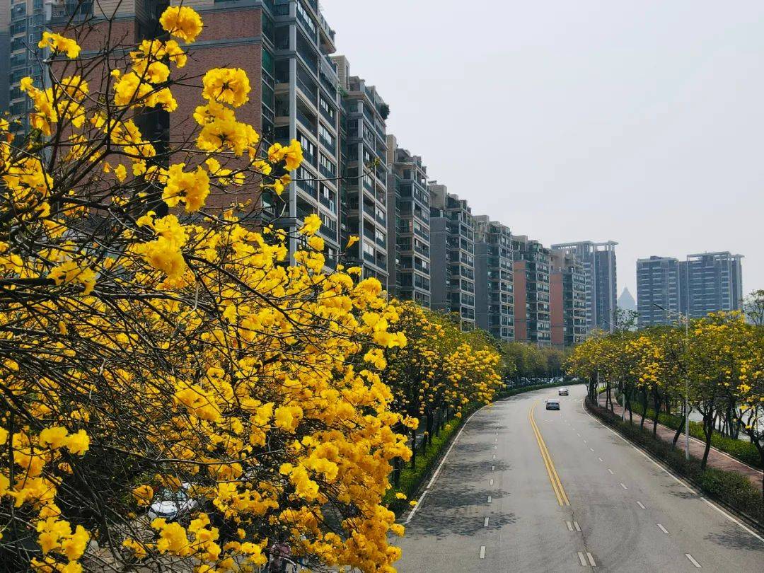 江門大道,蘭石公園,豐樂公園,馬拉松起步公園,潮連環島路;江海區觀音