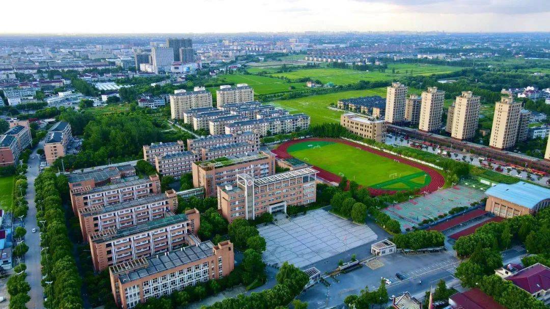 桐乡二中2023年商调教师公告_教育_材料_管理工作