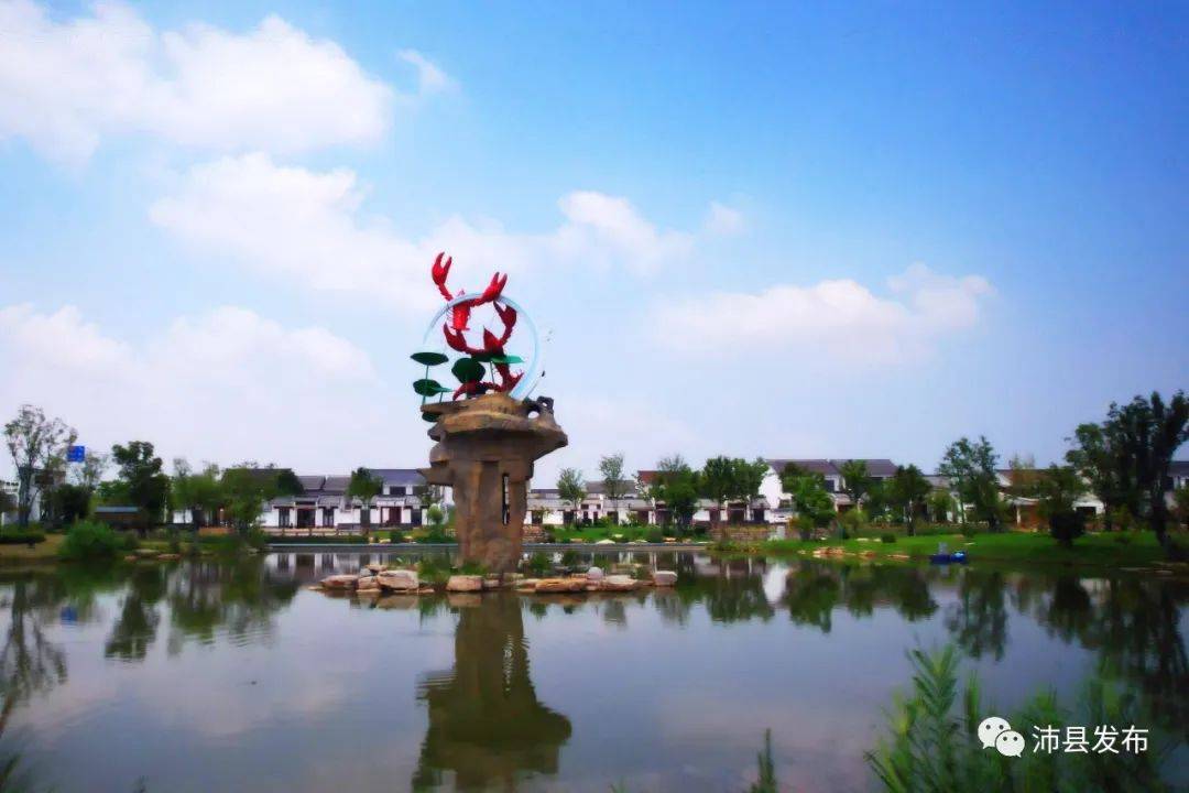 沛县百村行丨诗意与美味的邂逅_韩楼_湖西_乡村