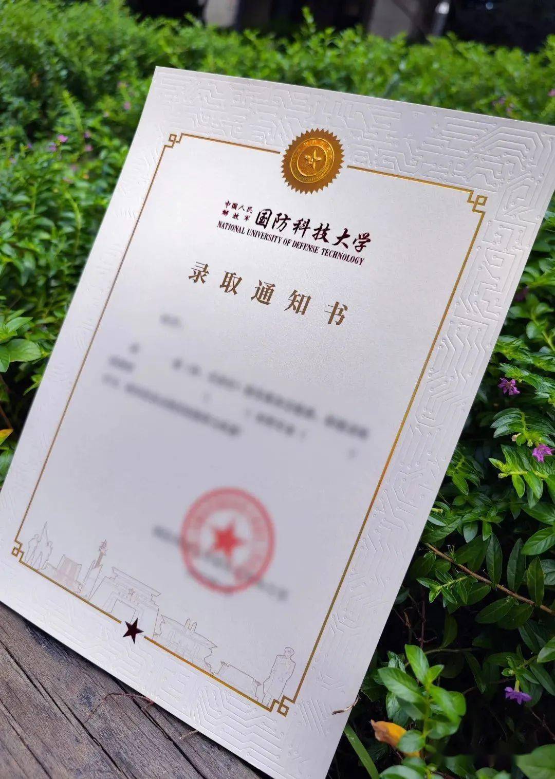 39所985高校大学录取通知书,快来沾沾喜气_校训_创新_科学