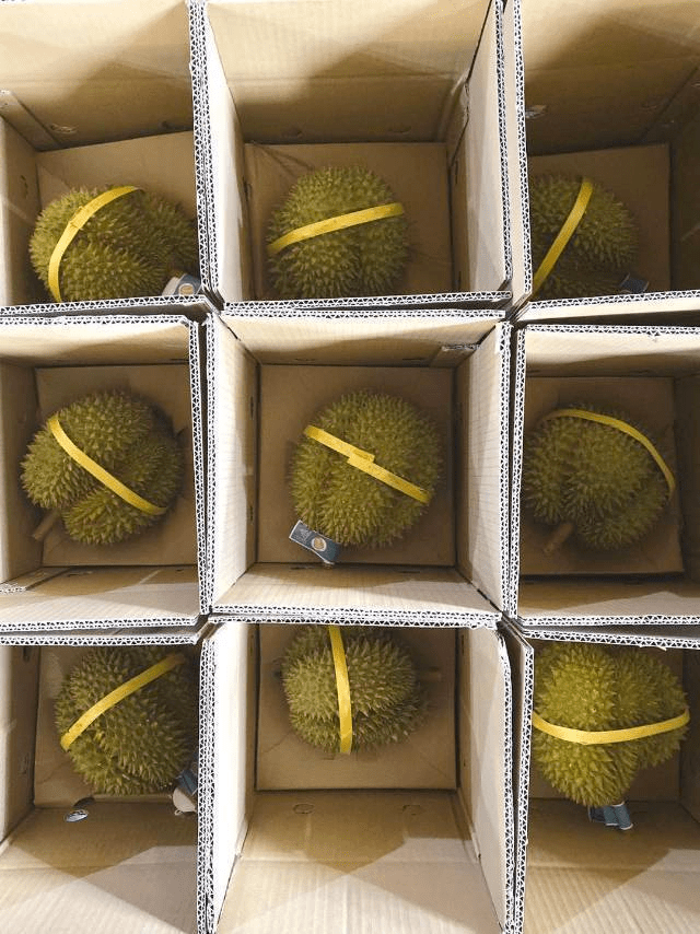 味道狂野浓郁,肉细腻无丝,软糯丝滑,入口即化,骨灰级榴莲爱好者绝对不