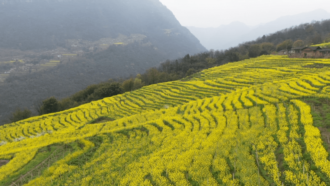 四川水富县图片