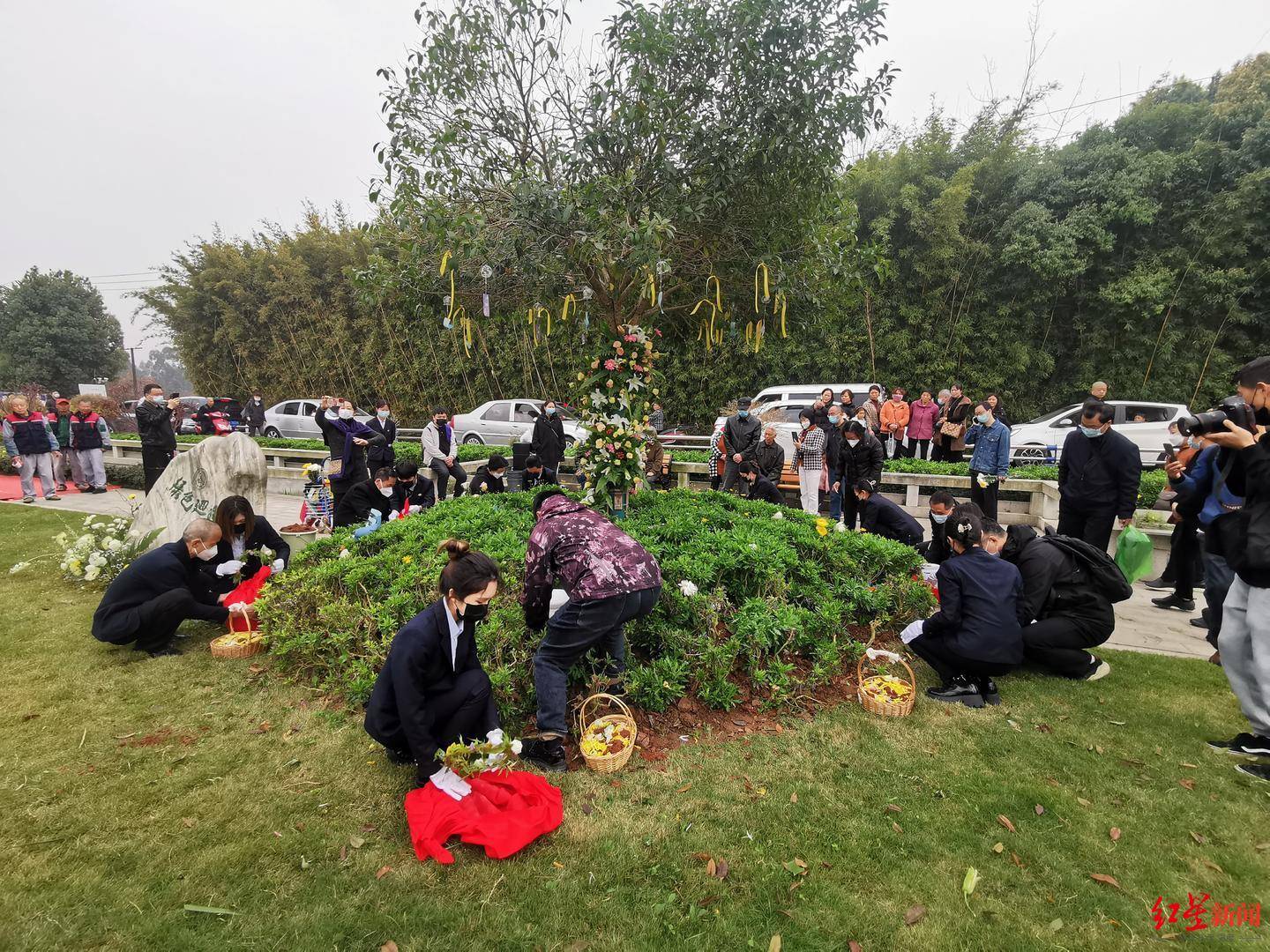 “以树为碑，与花草为伴”，成都8位逝者清明节前集体公益生态树葬_祭祀_绿色_方式