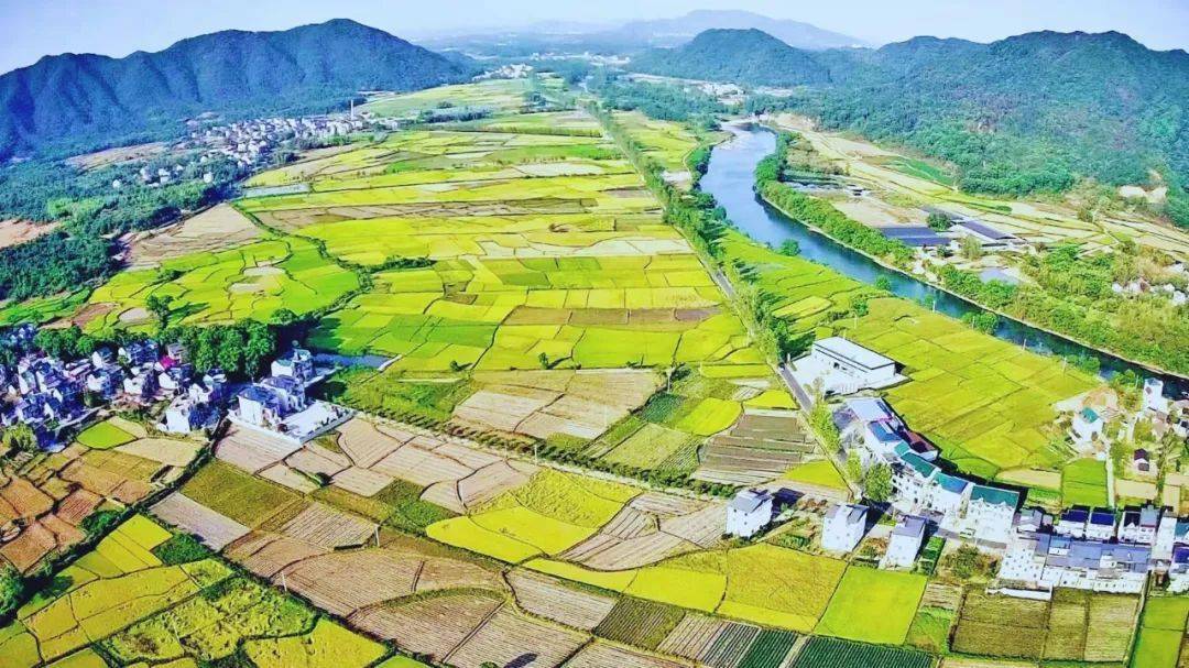 【乡镇动态】叠山镇:绿水青山映新春_整治_环境_建设