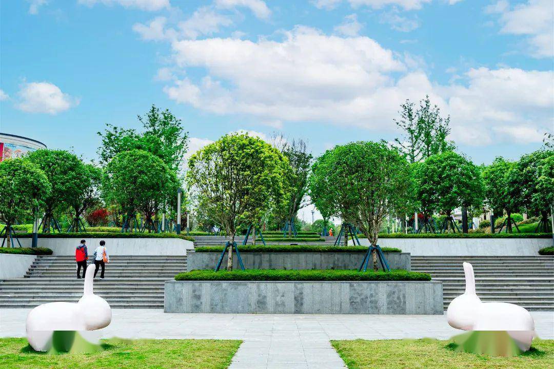 去圣泉寺公园看野鸭和水鸟同游嬉戏去圣泉湖公园看"人家比屋临溪渚,翠