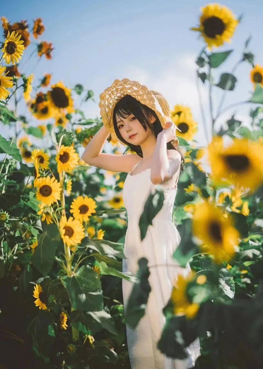 画面_花丛_鲜花