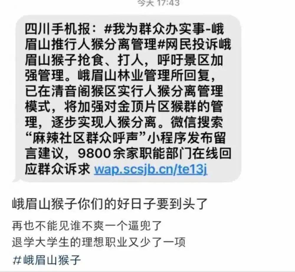 峨眉山第一恶霸，末于被“拾掇”了