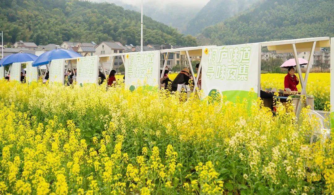 来桐庐这里赴一场春之邀约~_横村镇_山花_文旅