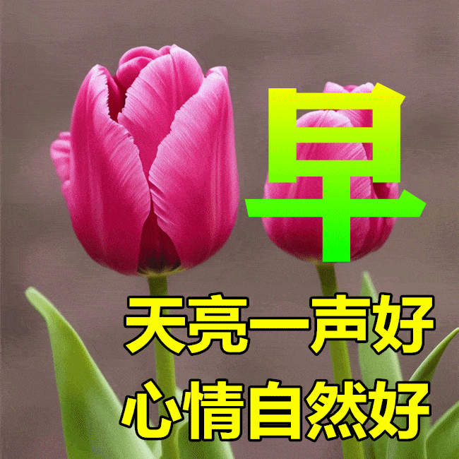 3月22日早上好动态表情图片大全,早晨好动图美图大全_祝福_友情_问候
