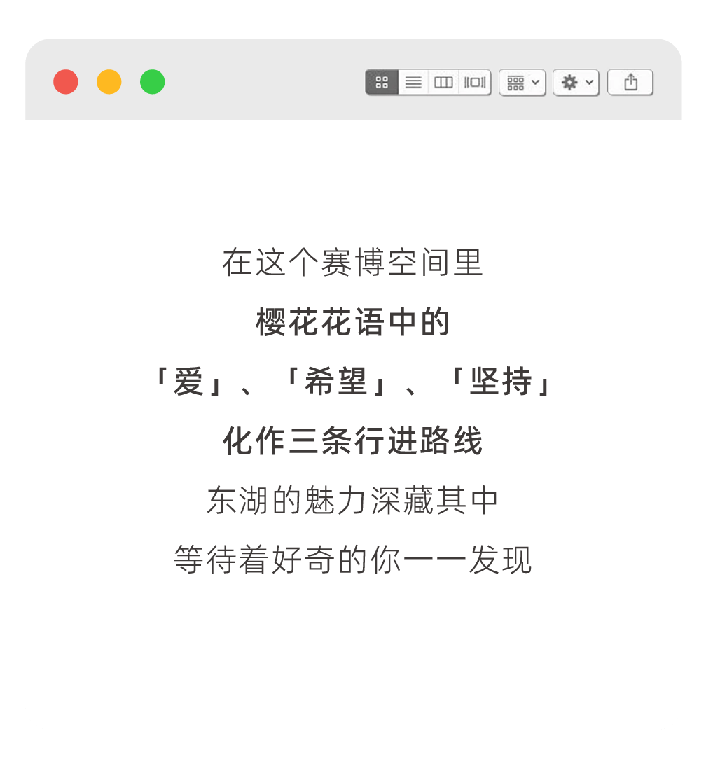 元宇宙里看樱花？虚拟东湖樱花园全程高能