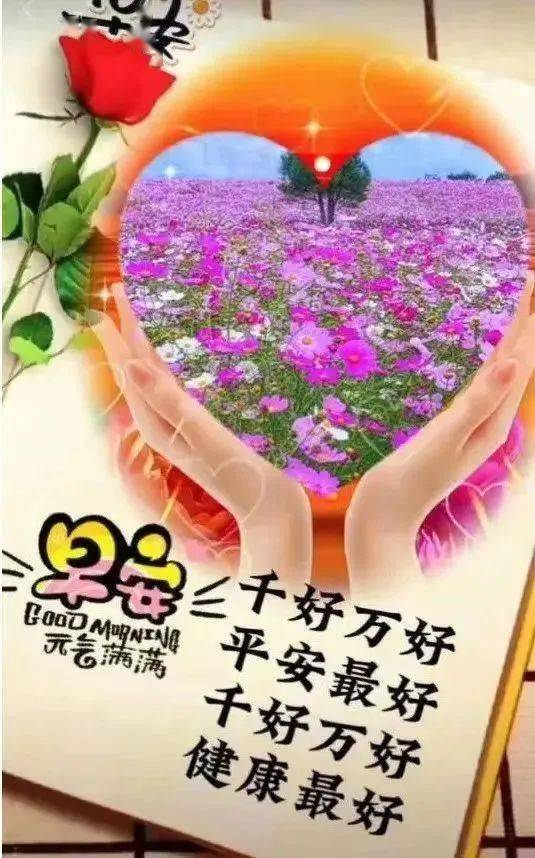 早上好,祝你健康,深情惦念,请多保重,万事吉祥_问候_祝福_平安