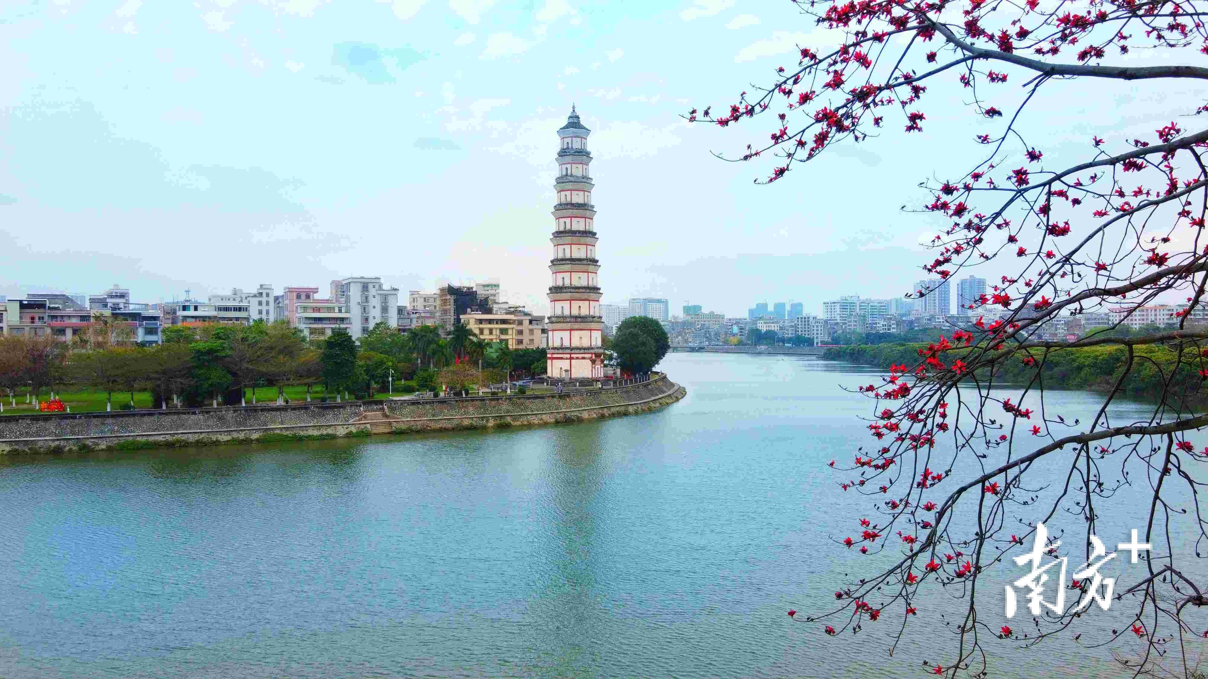 5年打造绿美高州,"十大工程"描绘最美生态底色_建设_森林_茂名