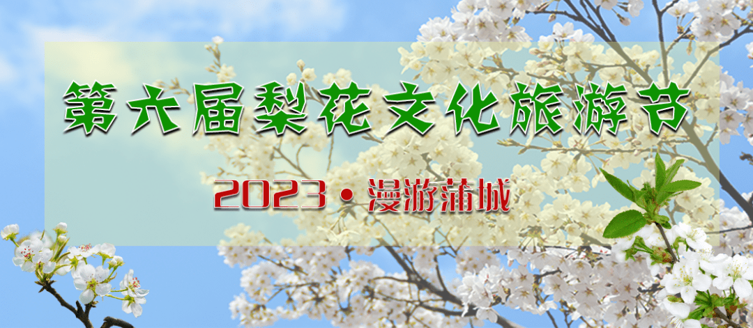此次梨花节不仅提供了丰富多彩的各类活动,并且在2023蒲城第六届梨花