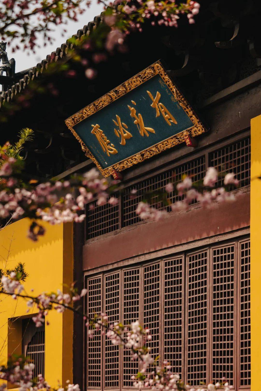 中国哪间寺庙的禅茶最好(líng)喝(yàn)?_天心_柏林禅寺_视觉