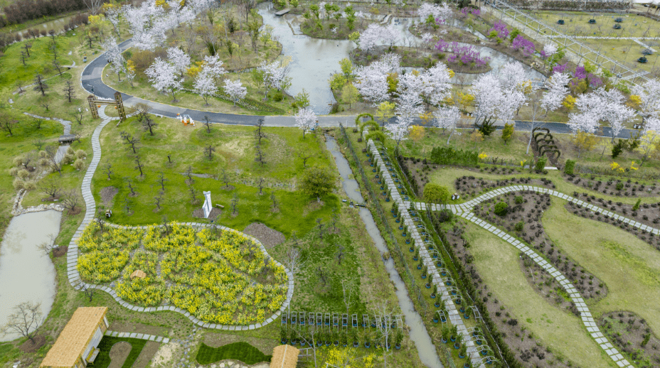 花星球景点介绍图片