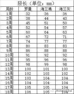 肉鸡日龄采食量对照表图片