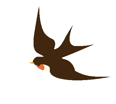 ���Ķ���������������Ǭ��