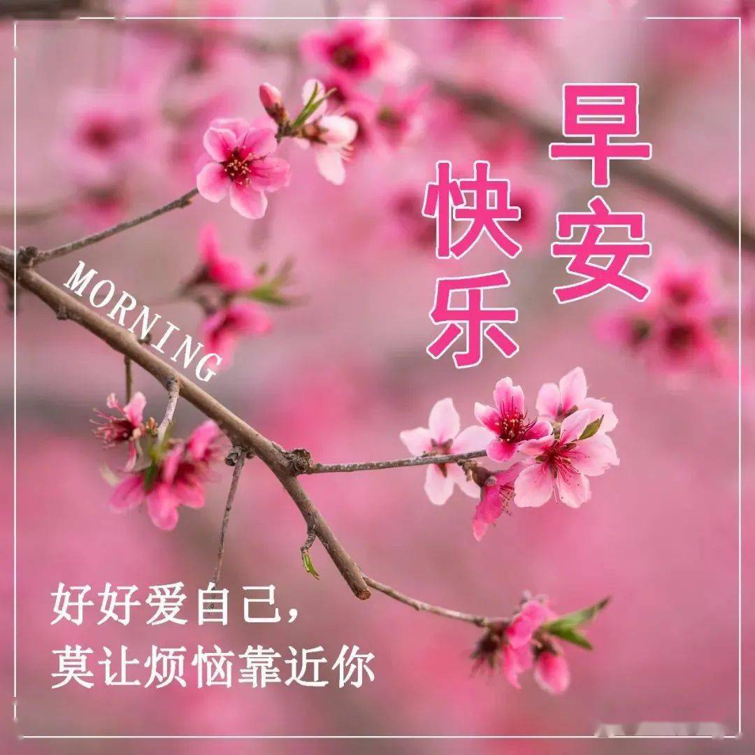 2023年最漂亮早上好动态表情图片大全,3月27日早晨好动图美图大全