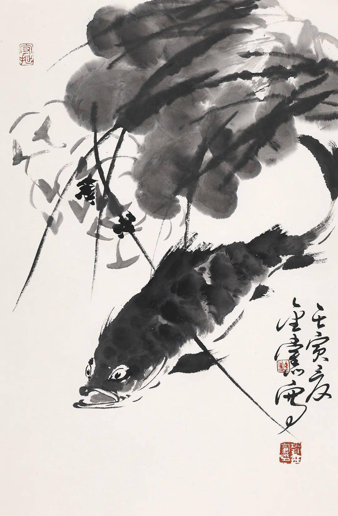 展讯i 心托毫素——刘金党大写意花鸟画展_cm_浦江县_书画