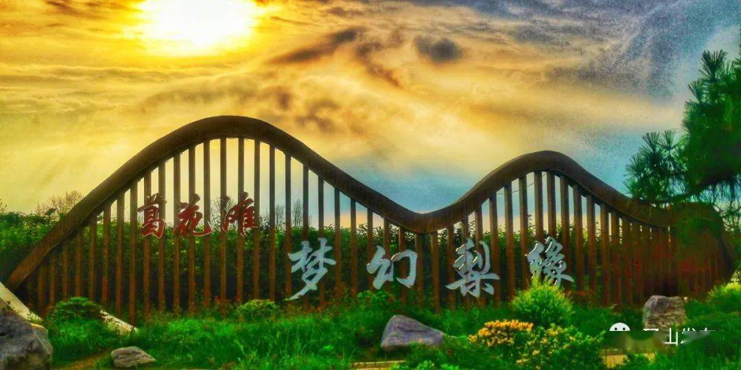 葛花滩 | 砀山特色景区推介_黄河_生活_游人