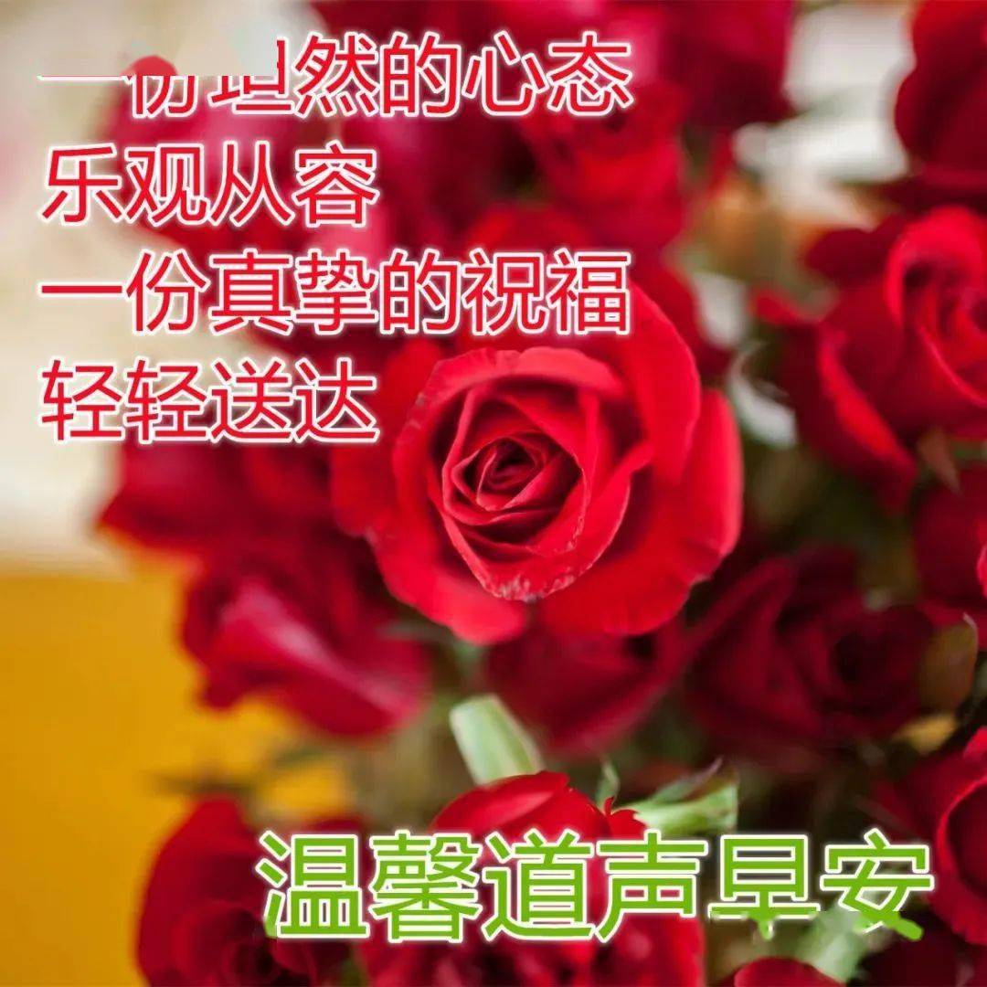 漂亮早安图片鲜花带字 最美早上好问候语_朋友_生活_安康