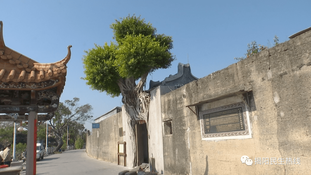 保护_榕城区_仙桥街道