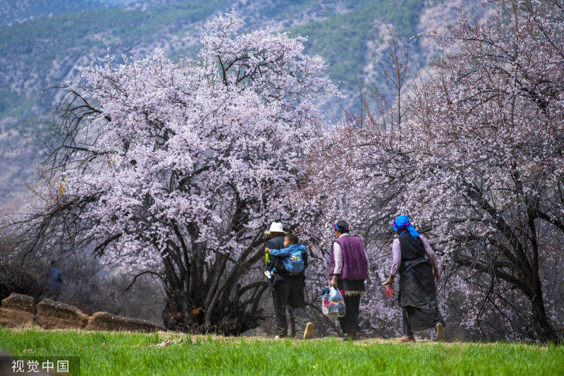 四川得榮: