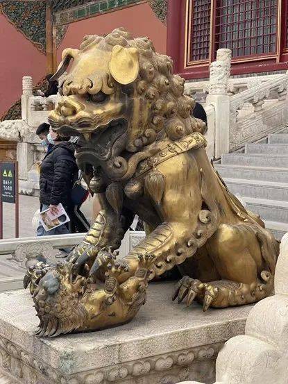 带着课本去旅行研学活动——带你寻找故宫里的大怪兽_历史_什么_狮子
