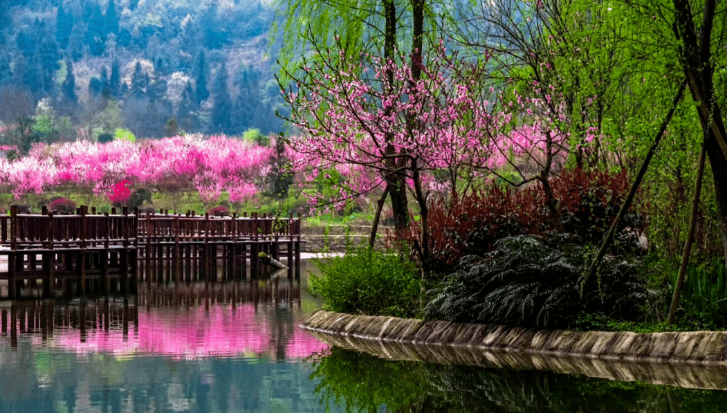 正安桃花源景区简介图片