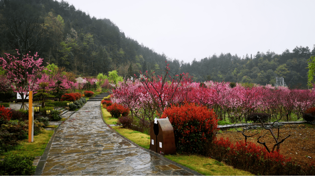 正安桃花源记景区介绍图片