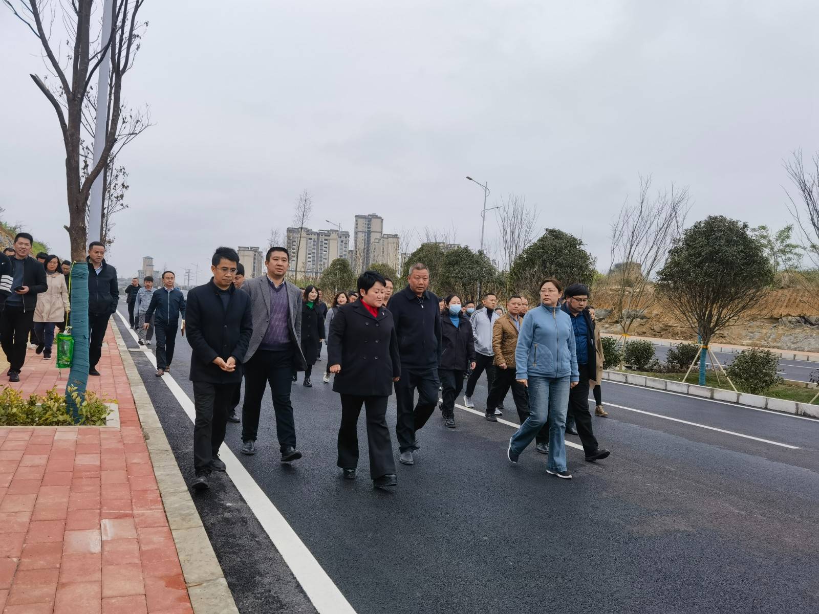 安顺经开区工管委“穿透式”调研金刺梨种植项目_产业_发展_农业