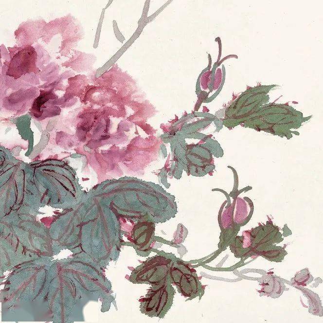 潘天寿：黄宾虹的花鸟，有水流花放之妙_cm_浙江省博物馆_花卉